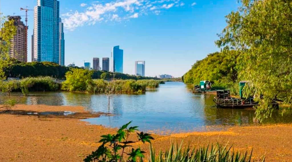 Reserva Ecológica Costanera Sur con laguna y skyline de Puerto Madero al fondo